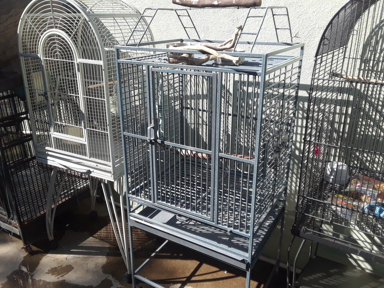 Bird cages 50.00 each