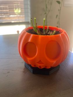 Pumpkin Planter