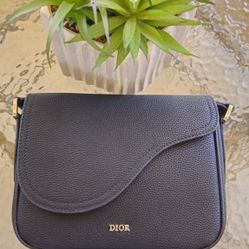 Dior Saddle Messenger Crossbody Bag