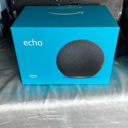 alexa echo