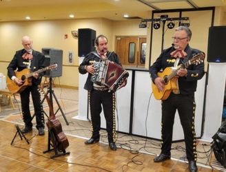 Mariachi Guitars Acoustic. 