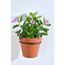 Plant Holder For 6” Pots - Includes Screws