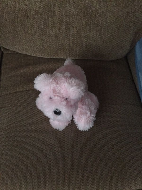 New WOT cute Pink Puppy