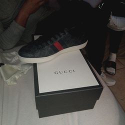 Gucci Shoes 