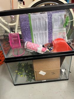 Hamster or guinea pig enclosure with All accessories