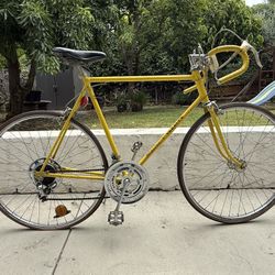 Tall Vintage Schwinn Varsity Road Bike in Yellow