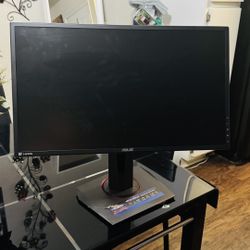 Computer Monitor 