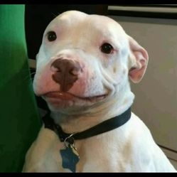 If you wast my time I will report you. So don’t message me unless you’re serious.