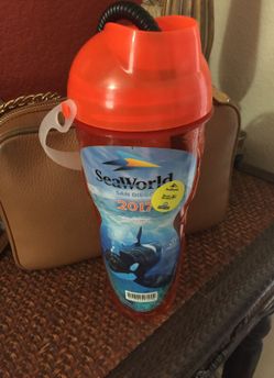 Sea world cup