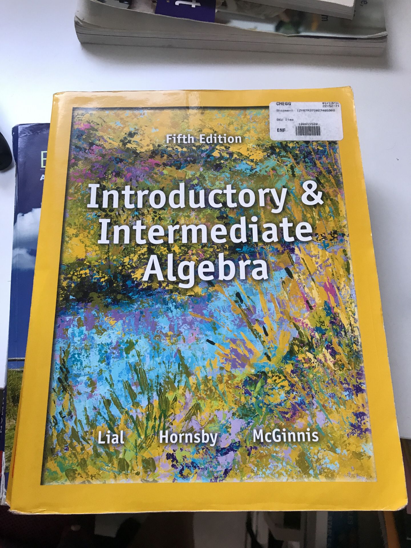 Introductory and intermediate algebra fifth edition
