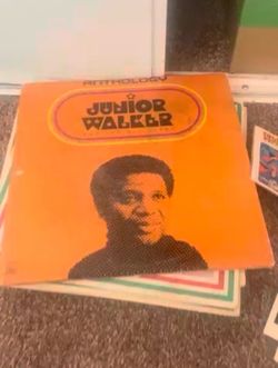 Vinyls