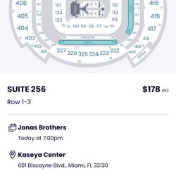 Jonas Brothers Concert 