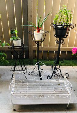 Plants 🌱 with stands