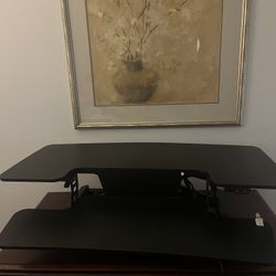 Flexispot Adjustable Standing Desk