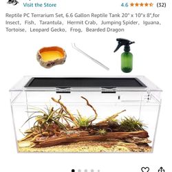 Reptile Habitat