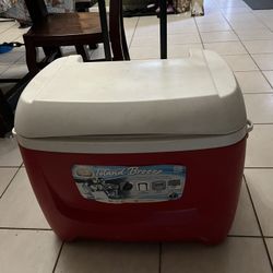 Igloo Cooler 