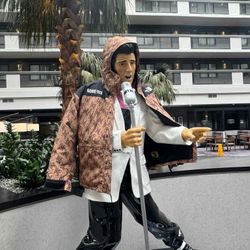 The North Face  Coat NWT 