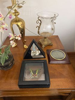 Butterfly Specimen Shadow Box Frame