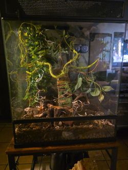 Bio Active Reptile Tank