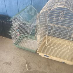 Bird Cages