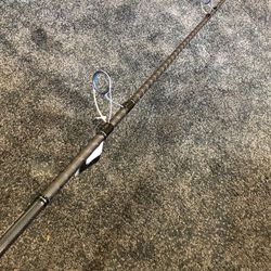 Daiwa proteus Boat Spinning Fishing Rod for Sale in Hacienda Heights, CA -  OfferUp