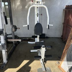 Exercise Bench