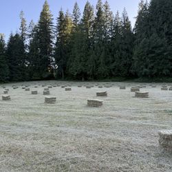 Hay