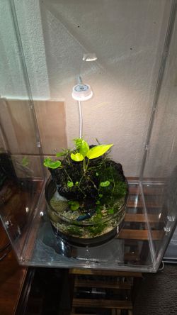 CASCADING NANO TANK