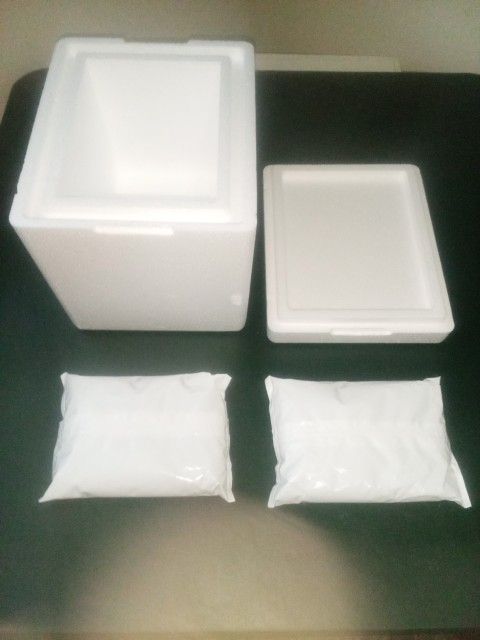 New 6 Pk Styrofoam Cooler w/2 Ice Pack CASH