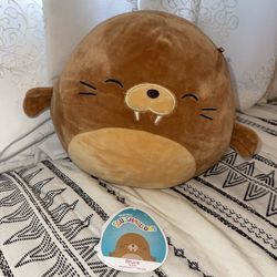 Bruce Walrus Squishmallows NWT