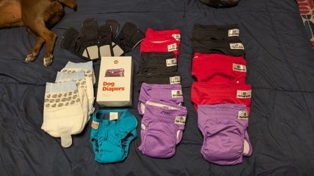 Dog diapers