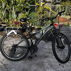 Side Winder Mountain Bike
