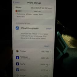 Unlocked iPhone 13 Green