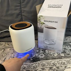 Small Dehumidifier With Light