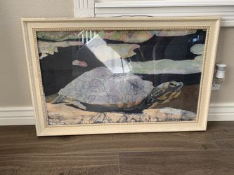 Picture frames, please read below