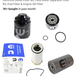 Fuel Filter 