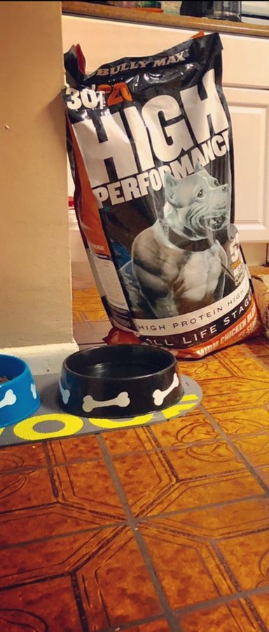 Bullymax dog food plus some free samples