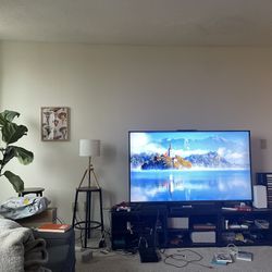 LG 65 Inch