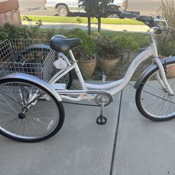 Adult Trike