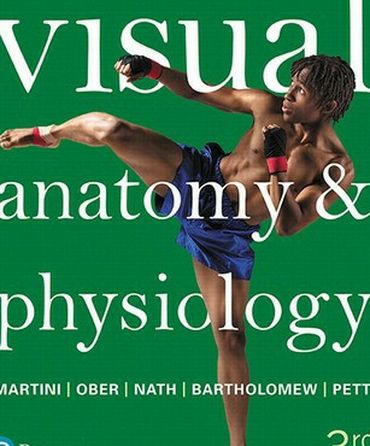 Visual Anatomy and Physiology 3rd Edition by Martini 9780134472195 Pearson eBook PDF free instant delivery