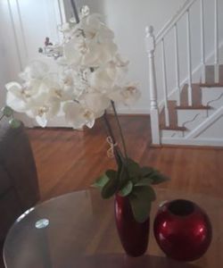 Decorative Set