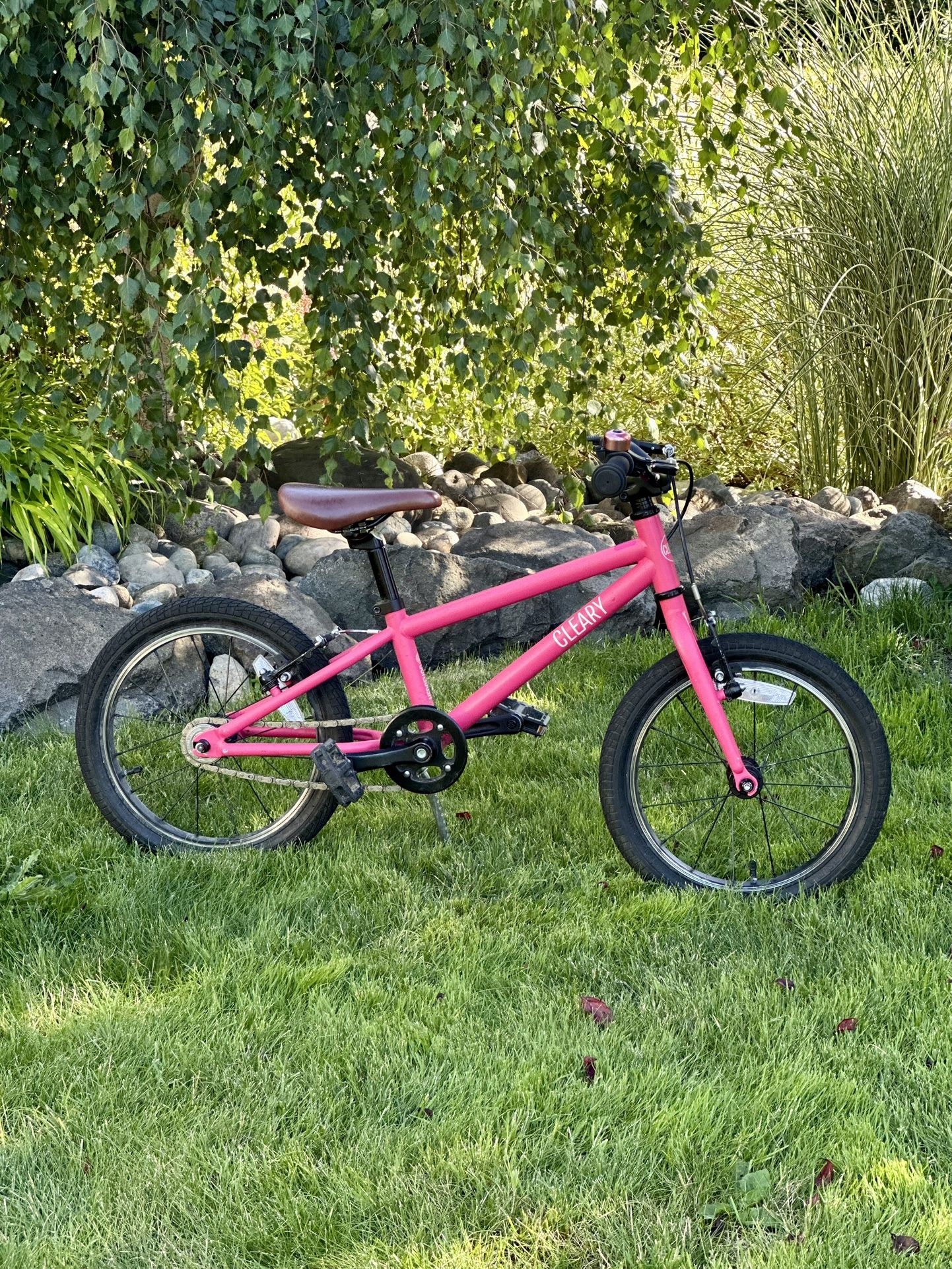 Cleary Hedgehog 16” Pink Bike