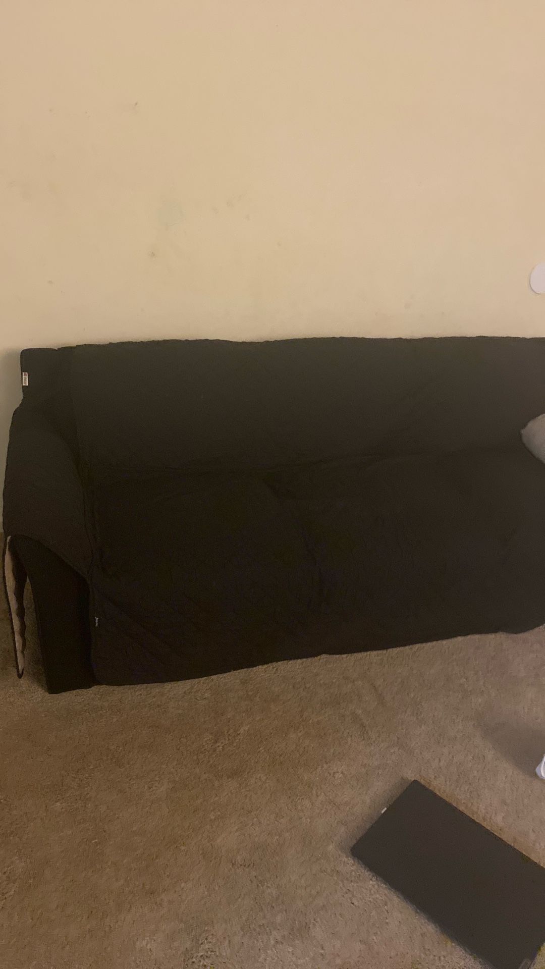 Affordable Couch And Free Item 