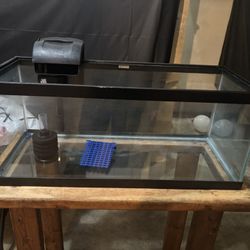 20 Gallon Long Fish Tank 