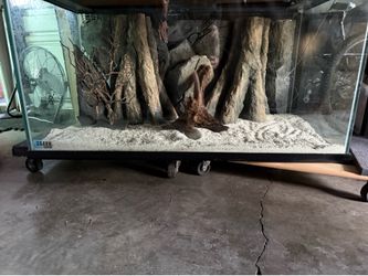 120 gallon fish tank
