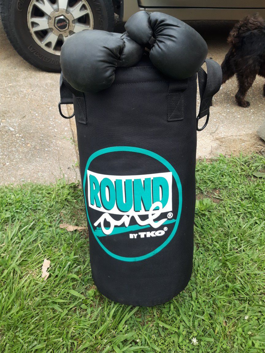 Punching bag with gloves