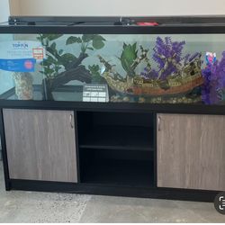 Fish Tank