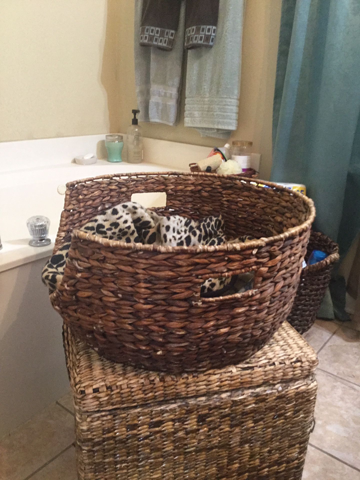 Pet Bed