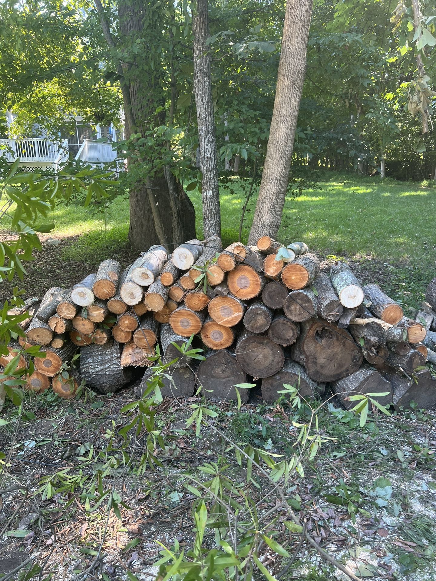 Free Firewood