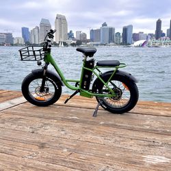 New-in box 1000W motor Malibu Cruiser